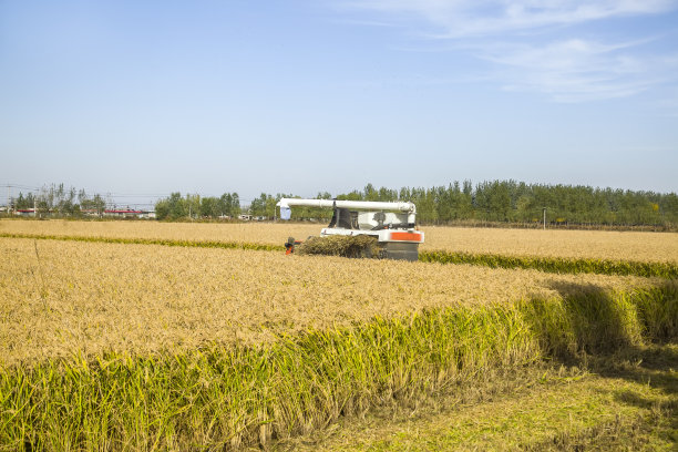 稻草拖拉机