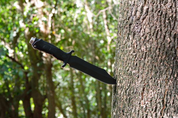 dagger