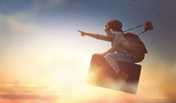 fly