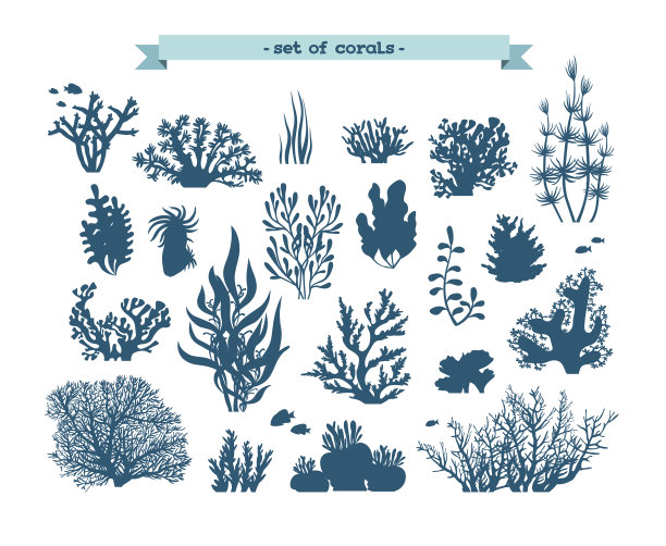 corals