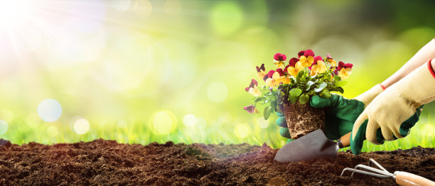 horticulture