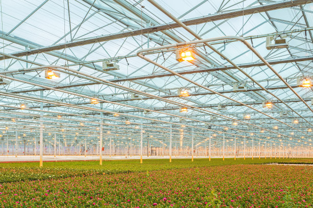 greenhouse