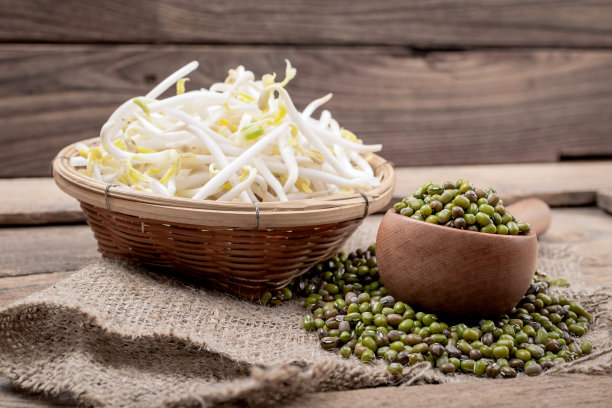 豆芽