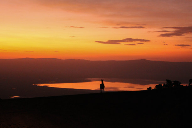 ngorongoro