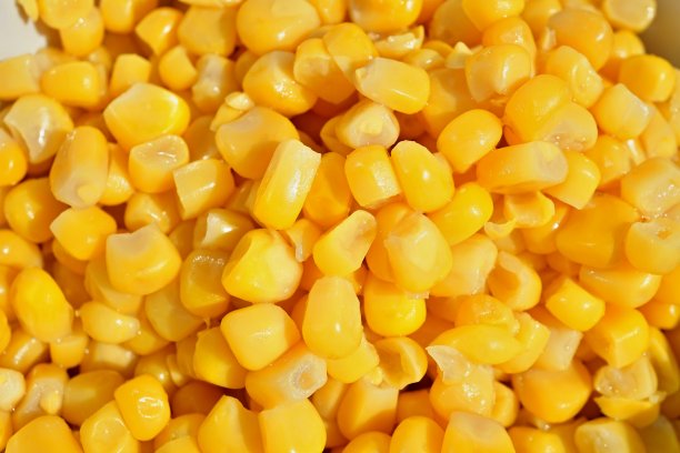 maize