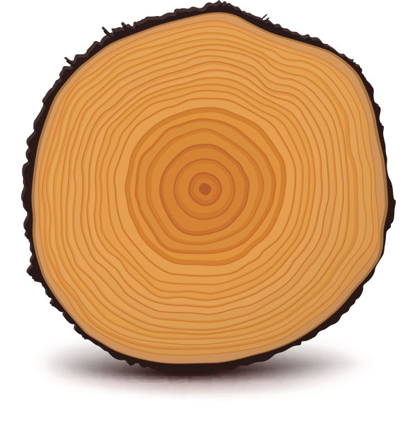 褐色,形状,衰老过程