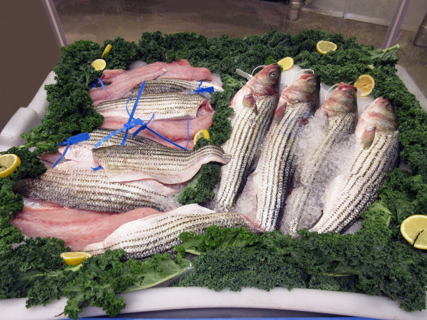 rockfish