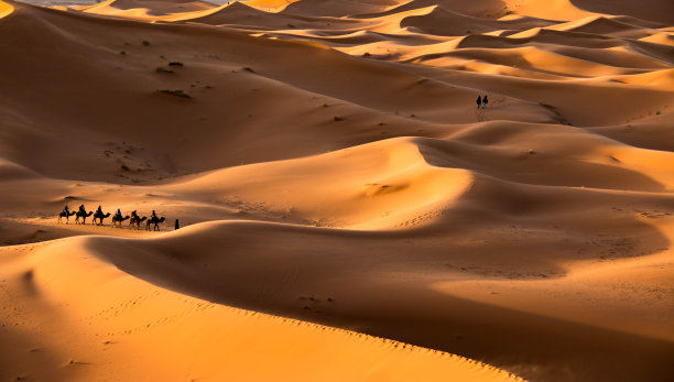 埃及的沙漠