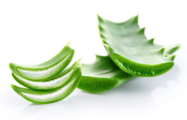 aloe