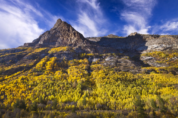 elko