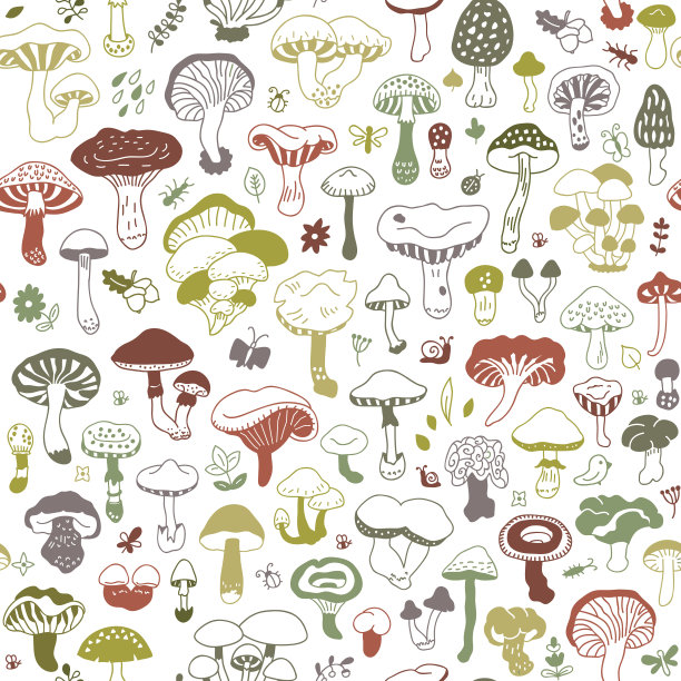 mushrooms