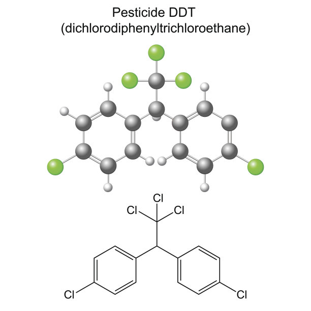 ddt