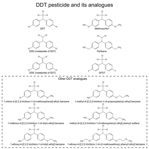 ddt