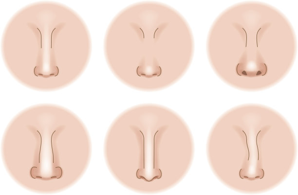 nose