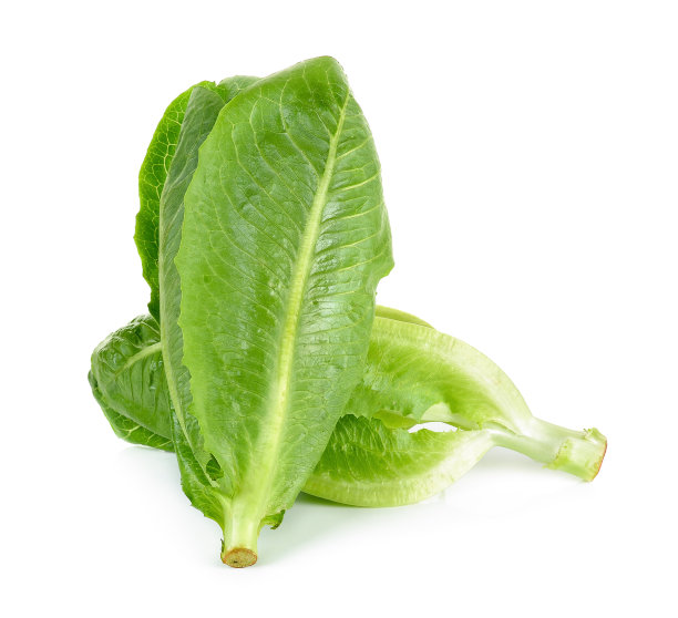 romaine