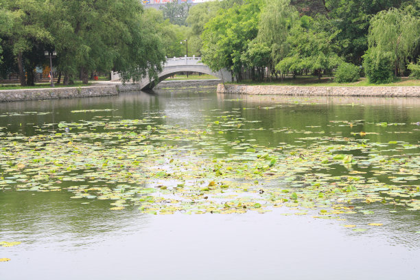 沈阳景观建筑