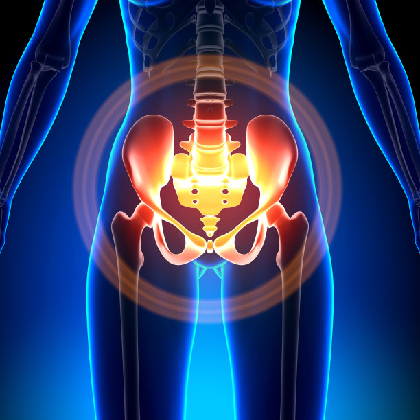 pelvis