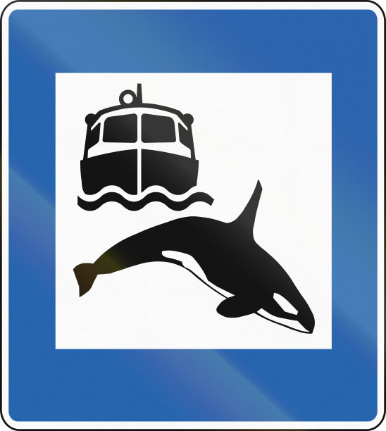 虎鲸标志