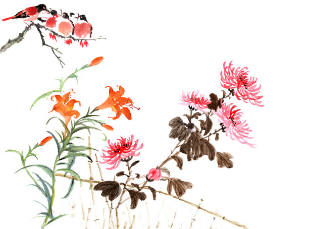 兰花,绘画作品,绘画插图