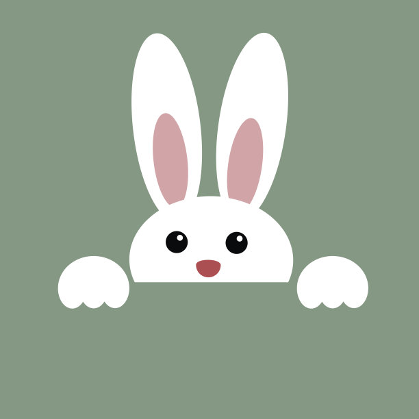 bunny