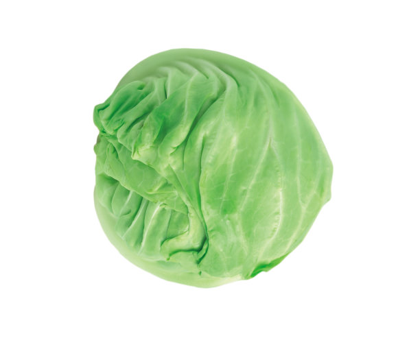 羽衣甘蓝,甘蓝,膳食