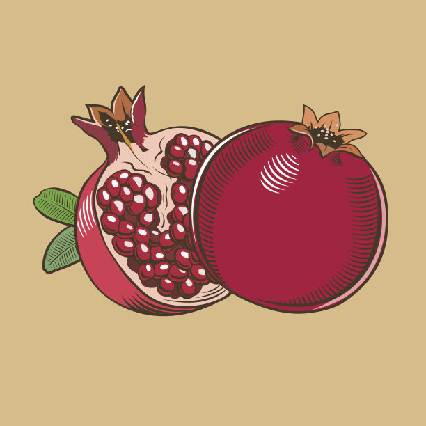 石榴包装插画