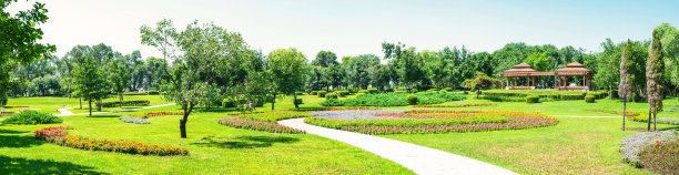 公园花园