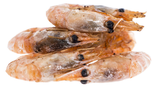 生猛海鲜,斑节虾