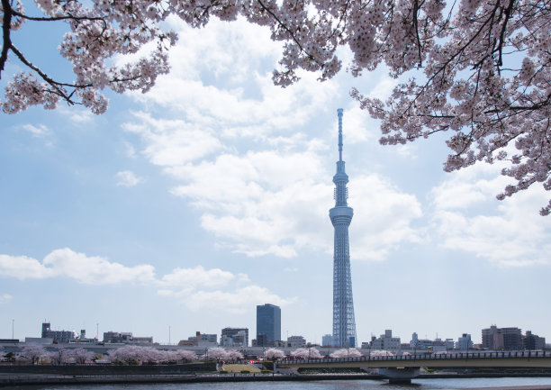 东京天空树