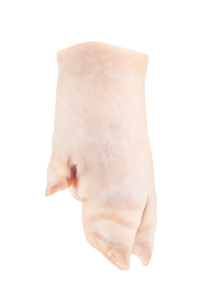 trotter