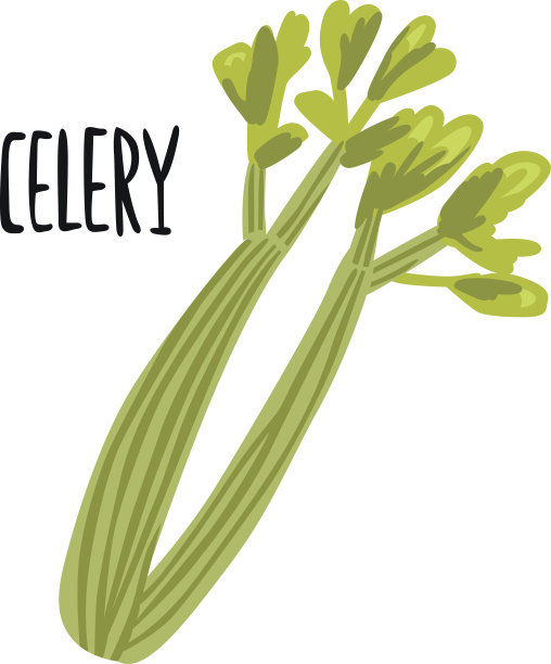 celery