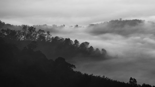 宋卡府,山,高山
