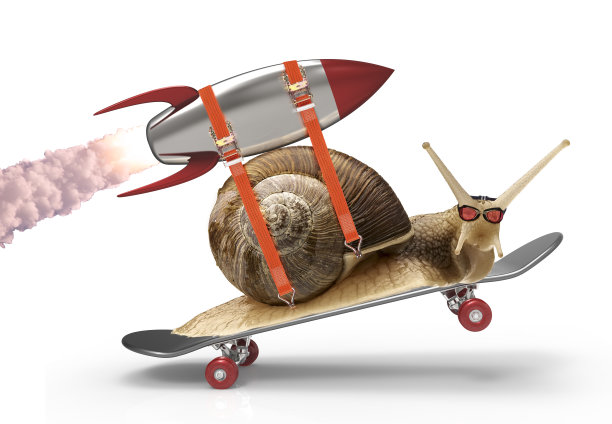 snail
