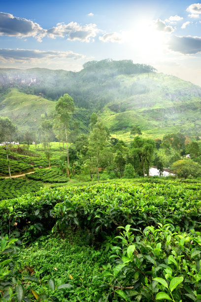 srilanka