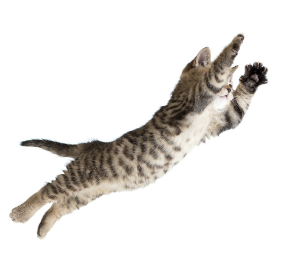 leaping