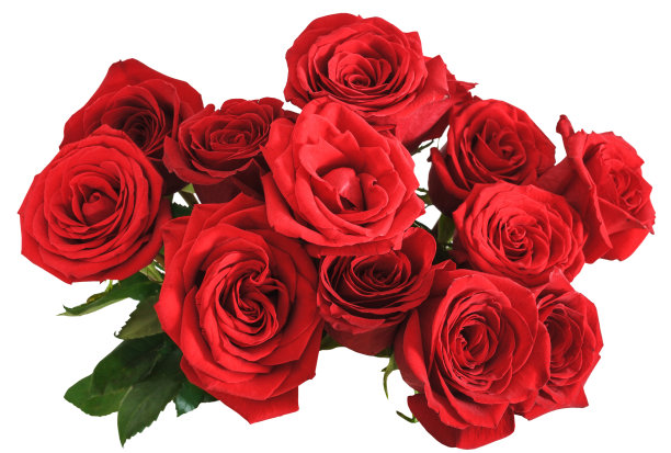 roses