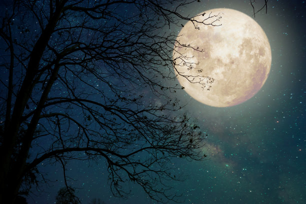月夜月亮