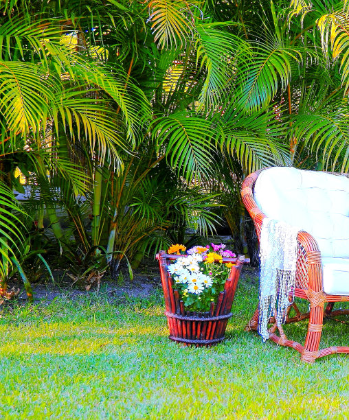 芭蕉叶沙发背景
