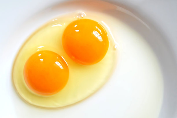 yolk
