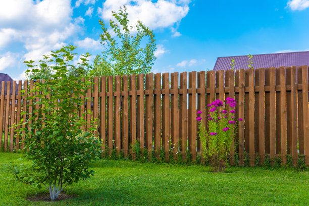 fence