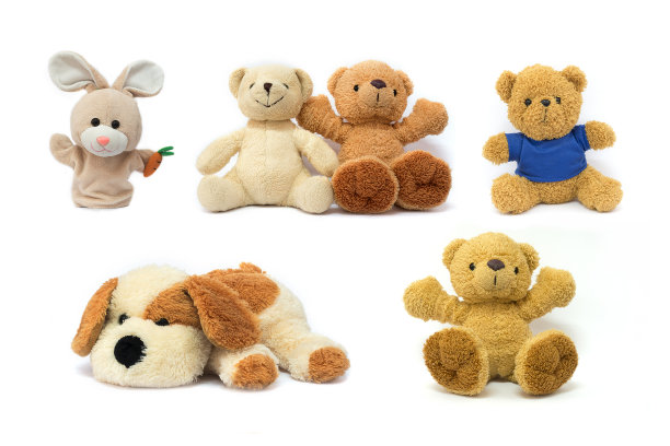 teddy