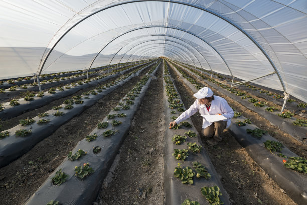 greenhouse