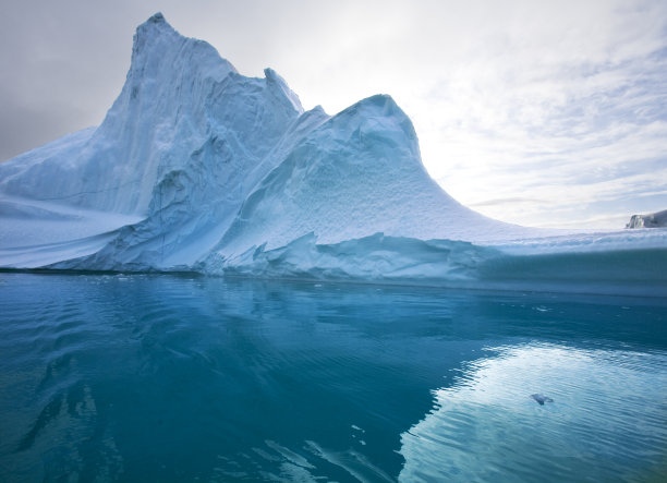 arctic