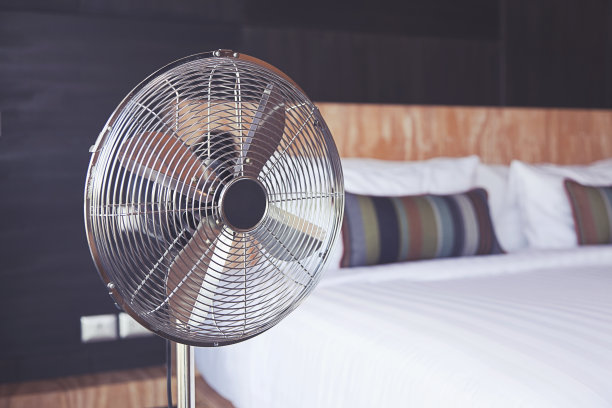 fan