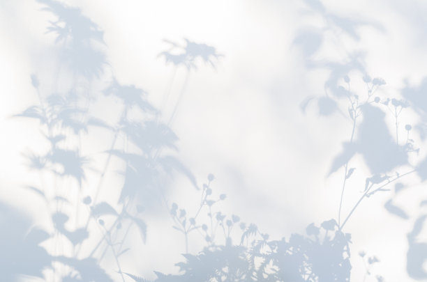 shadow