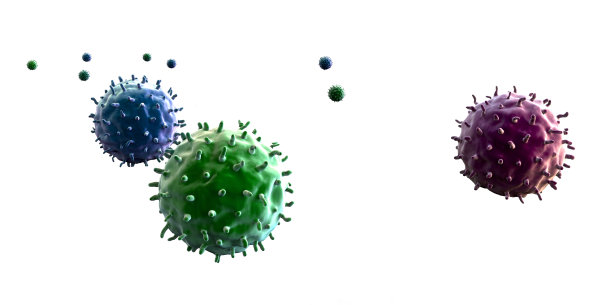 bacteria