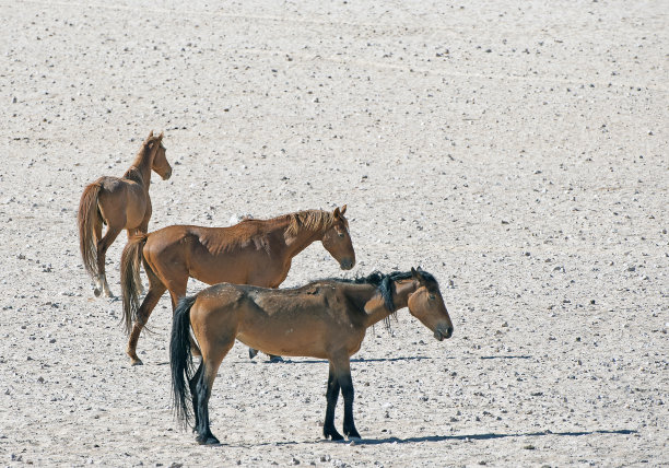namibia