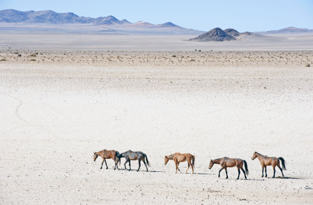 namibia