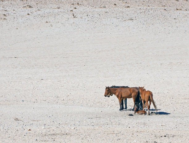 namibia
