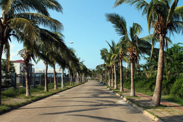 haikou